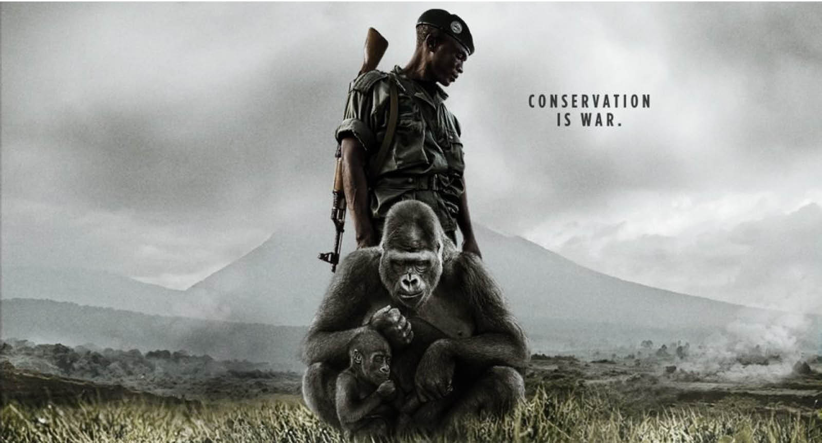 DRC Virunga Film