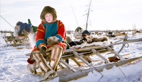 Nenets boy on sledge on reindeer migration, Siberia