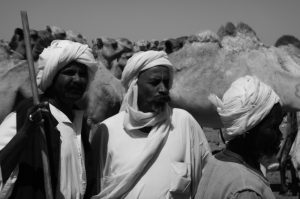 Camel herders in the Bayuda